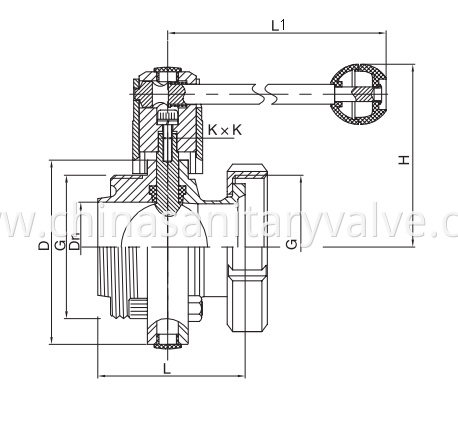 sanitary butterfly valves male and nut end RJT